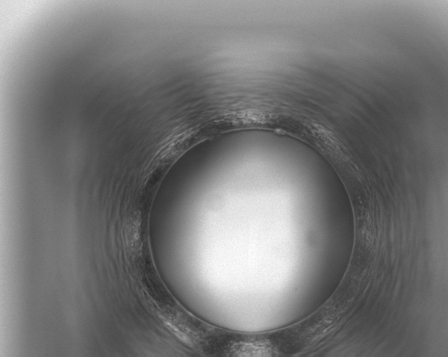 X0000059040548200510211936