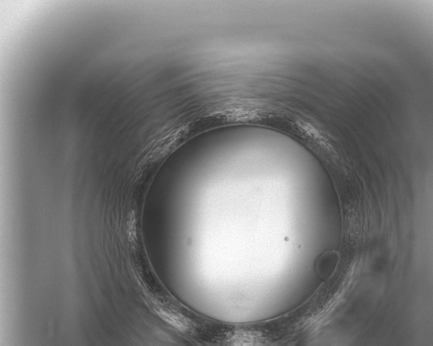 X0000059040549200510211937