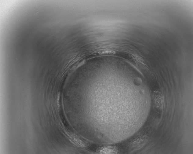 X0000059040550200510211937