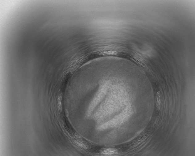 X0000059040551200510211937