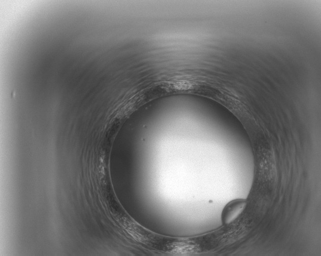 X0000059040555200510211937