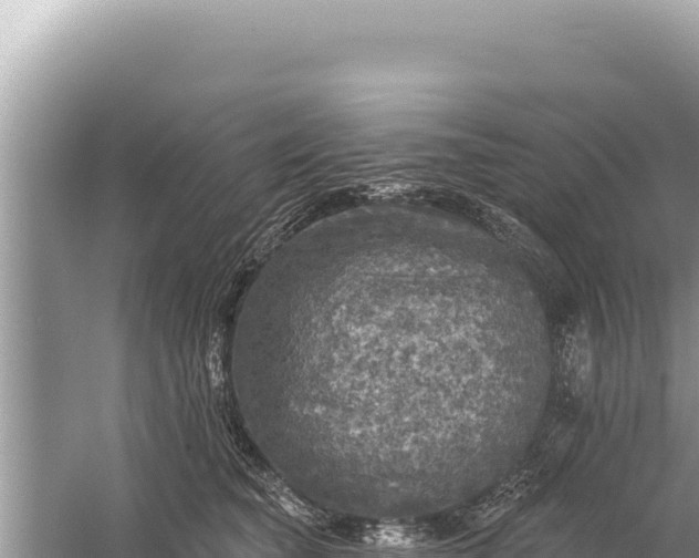 X0000059040565200510211937