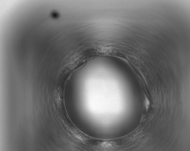 X0000059040566200510211937