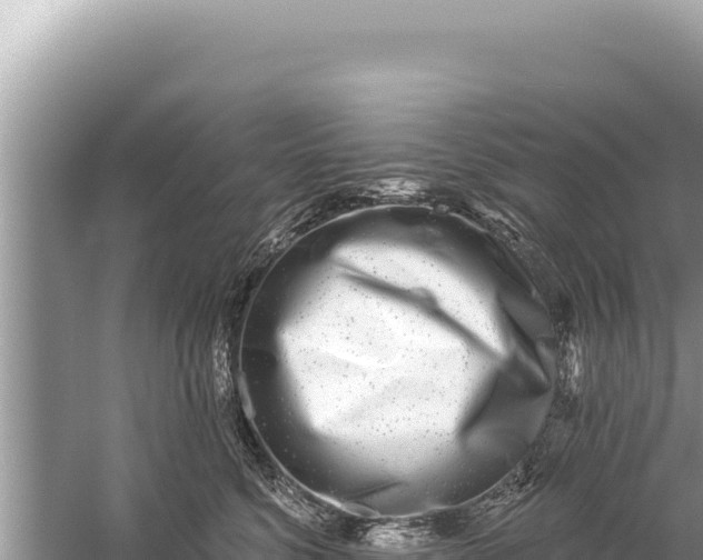 X0000059040568200510211937