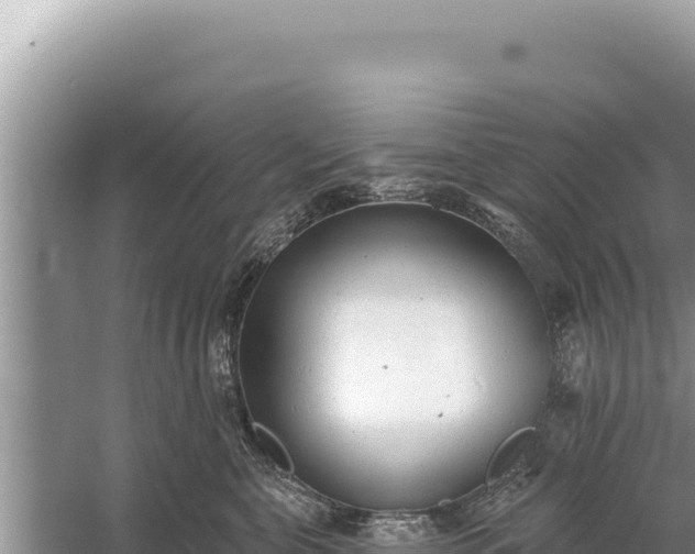 X0000059040571200510211937