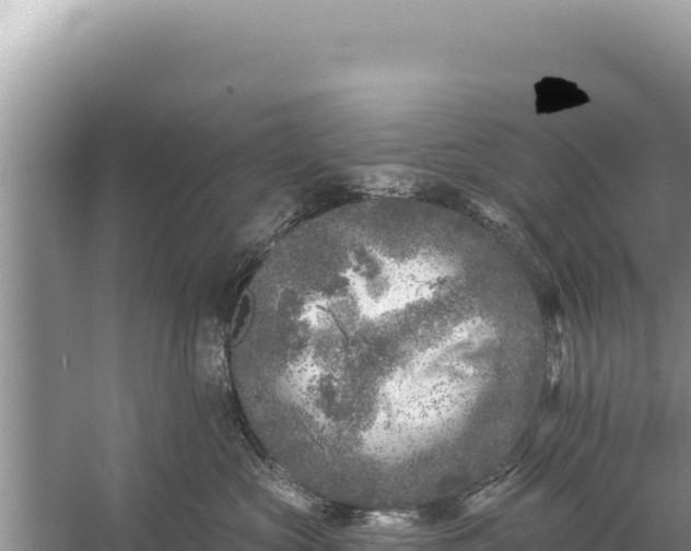 X0000059040573200510211937