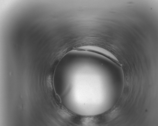 X0000059040575200510211937