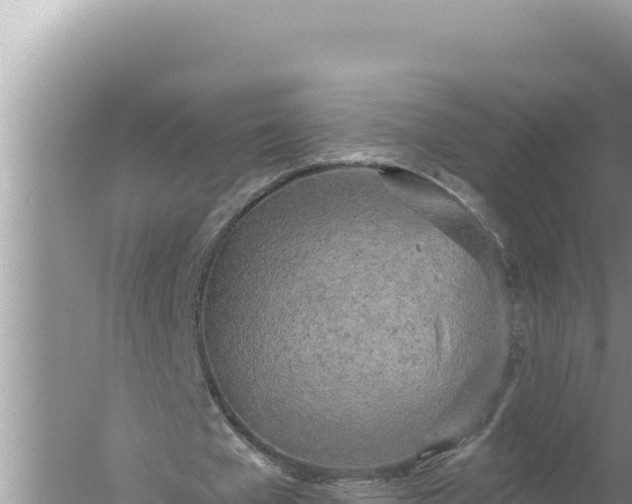 X0000059040577200510211936