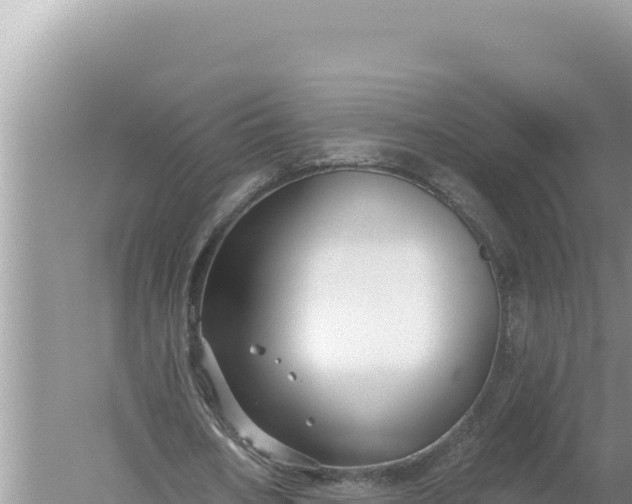 X0000059040578200510211936