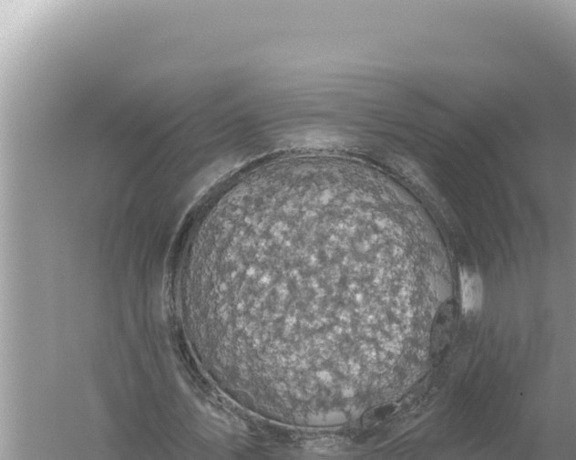 X0000059040579200510211936