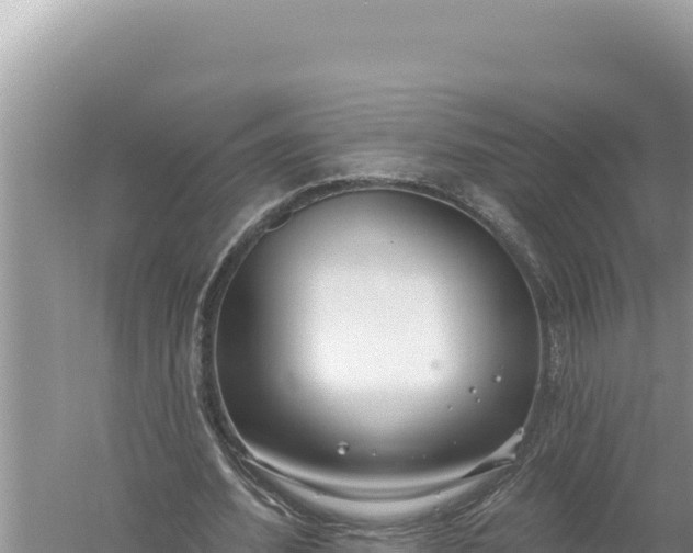 X0000059040580200510211936