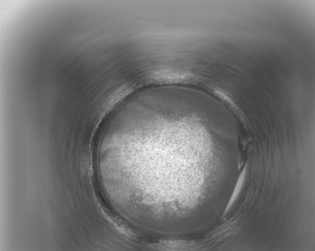 X0000059040582200510211936