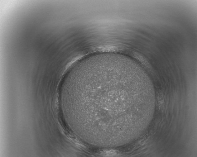 X0000059040583200510211936