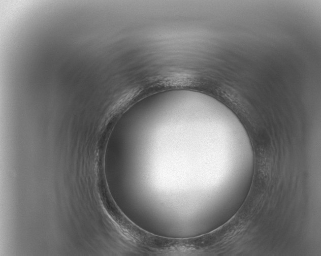 X0000059040586200510211936