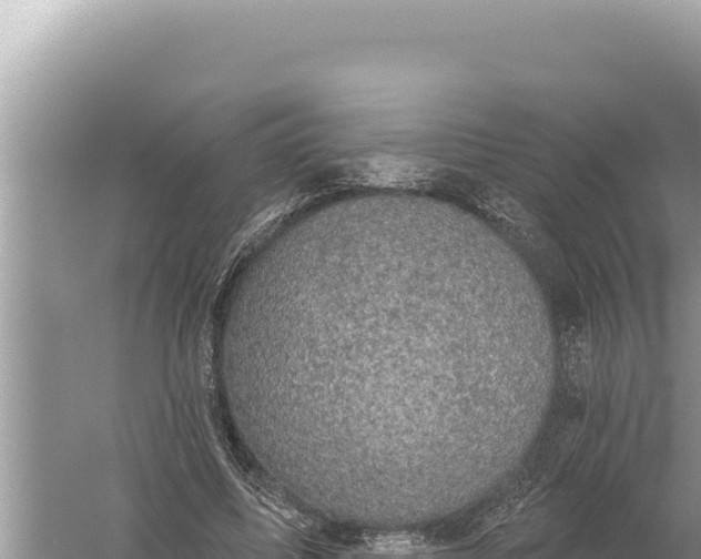 X0000059040587200510211936