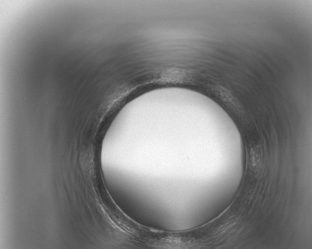 X0000059040588200510211936