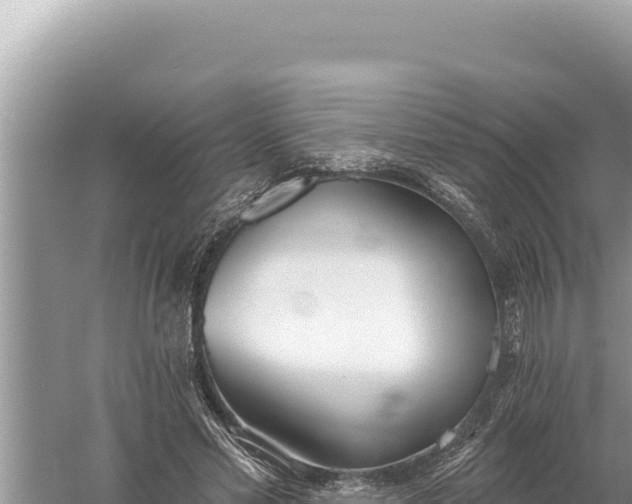 X0000059040589200510211936