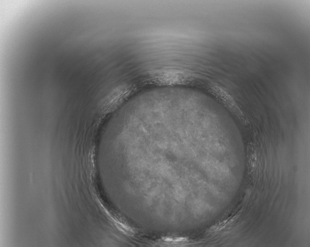 X0000059040590200510211936