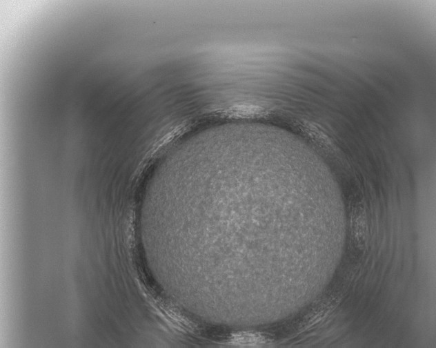 X0000059040591200510211936