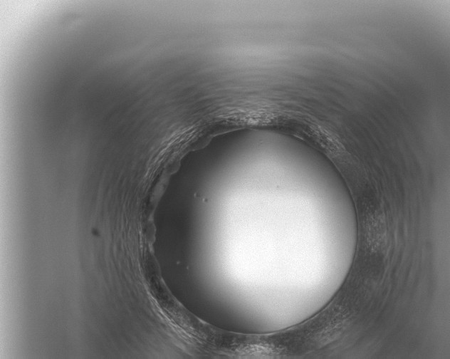 X0000059040594200510211936