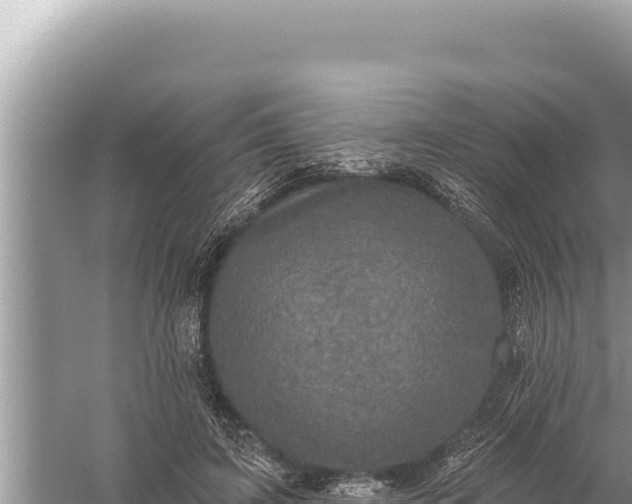 X0000059040595200510211936