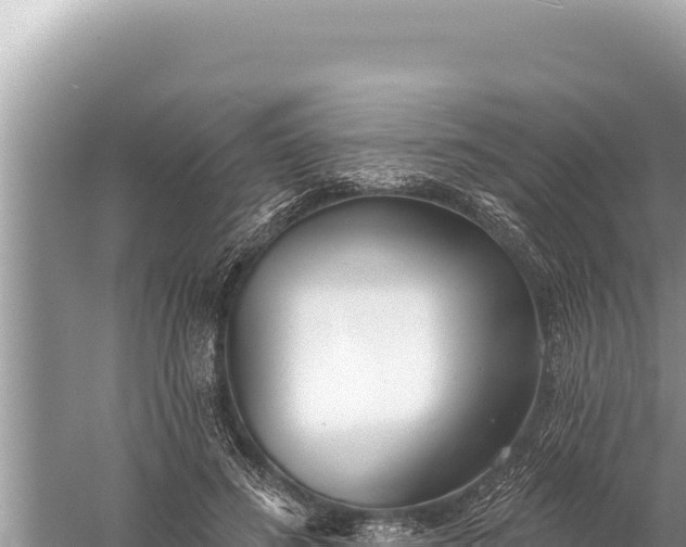 X0000059040596200510211936