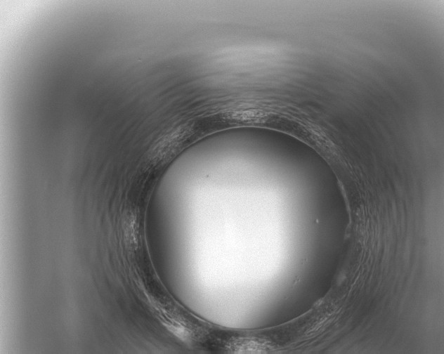 X0000059040597200510211936