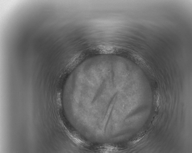 X0000059040598200510211936