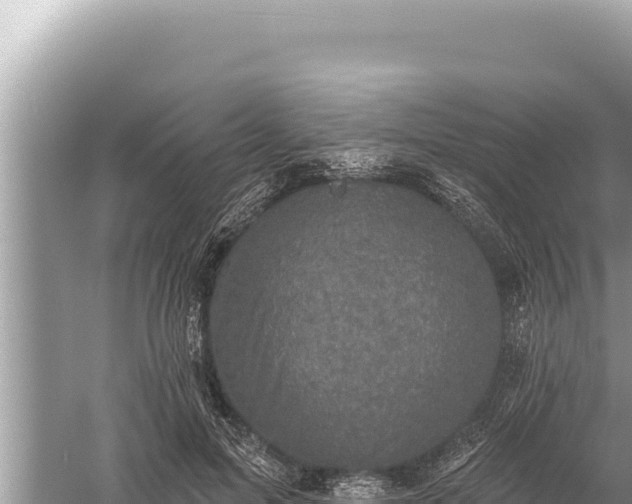 X0000059040599200510211936