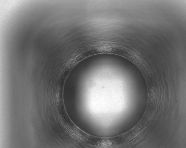 X0000059040600200510211936