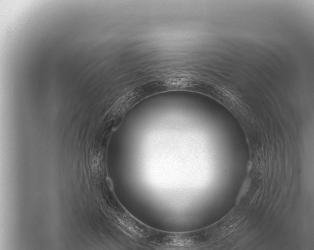 X0000059040601200510211936