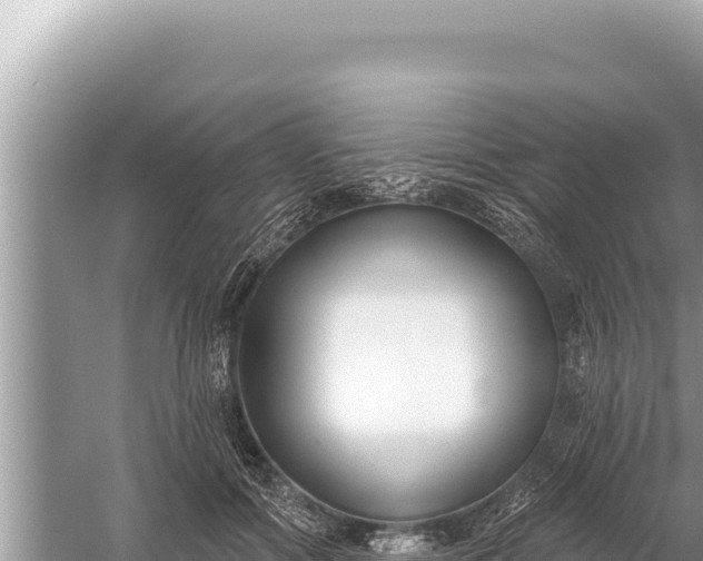 X0000059040602200510211936