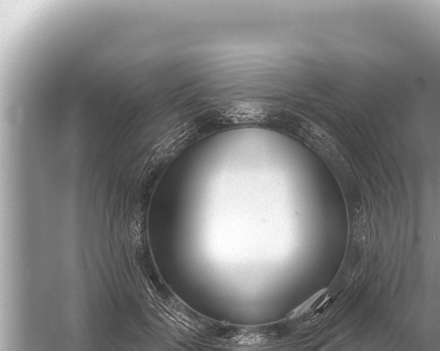 X0000059040604200510211936