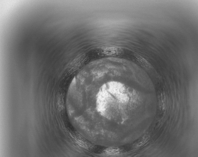 X0000059040606200510211936