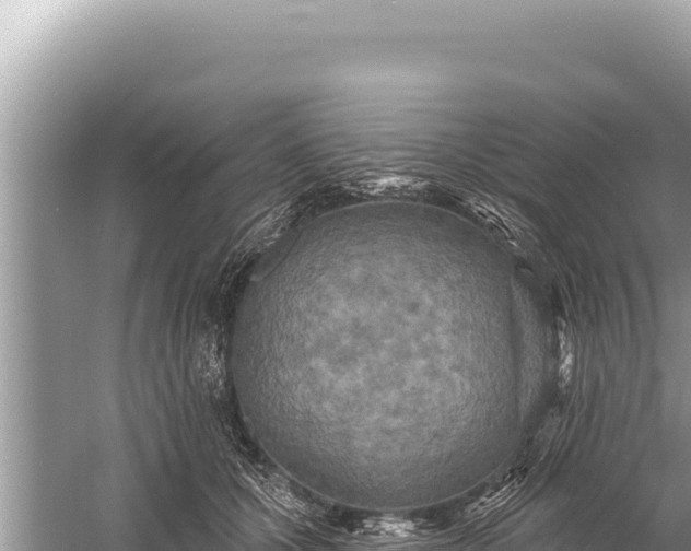 X0000059040607200510211936