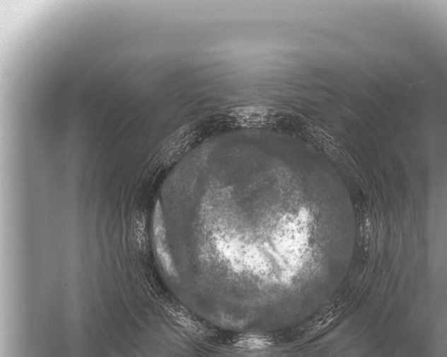 X0000059040610200510211936