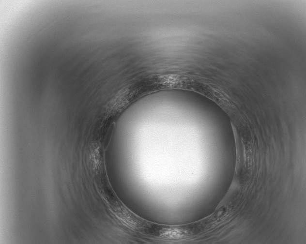 X0000059040611200510211936