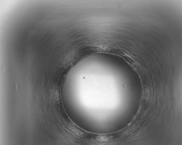 X0000059040613200510211936