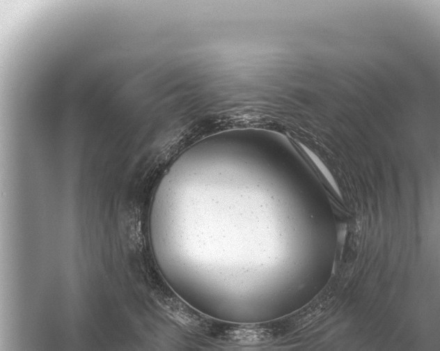 X0000059040615200510211936