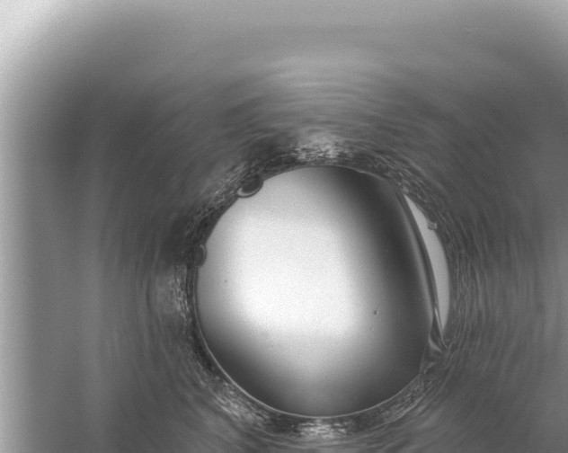 X0000059040616200510211935