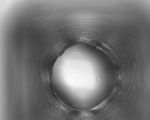 X0000059040617200510211935