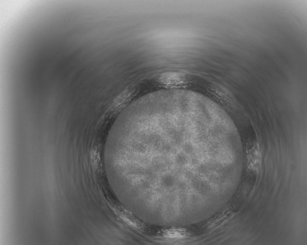 X0000059040618200510211935