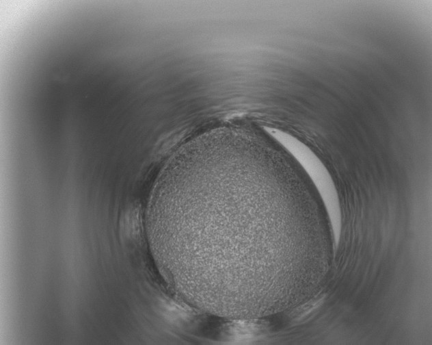 X0000059040623200510211935