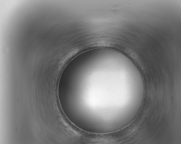 X0000059040625200510211935