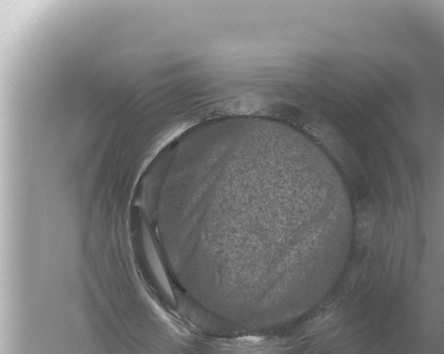 X0000059040626200510211935