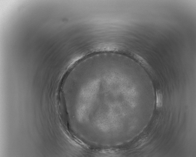 X0000059040627200510211935