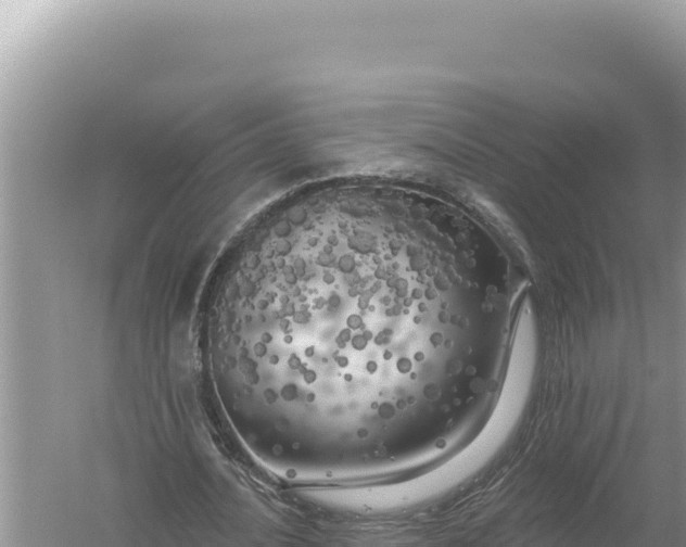 X0000059040628200510211935