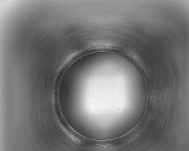 X0000059040629200510211935