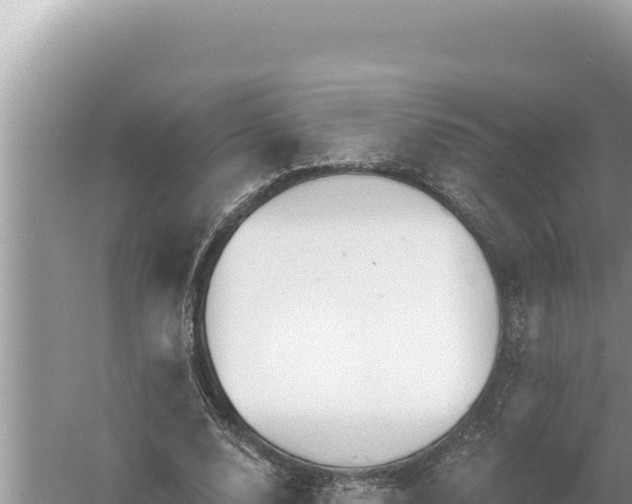 X0000059040632200510211935