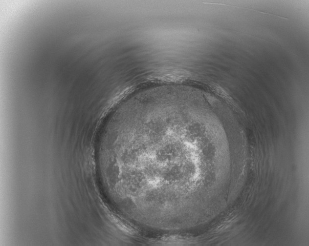 X0000059040634200510211935